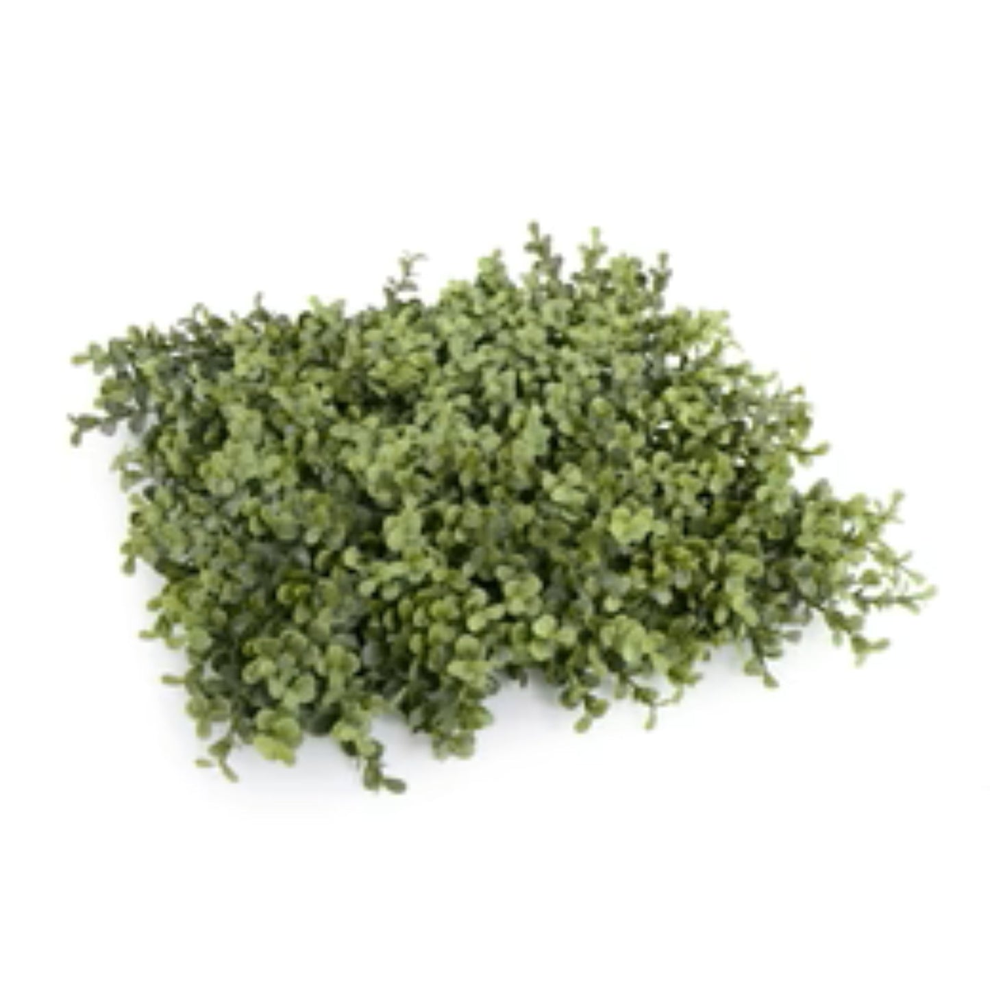 Close-up of dense artificial boxwood foliage on commercial hedge