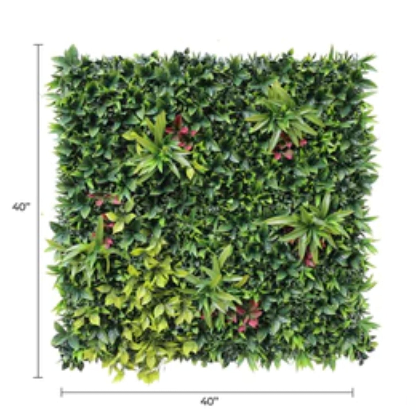Close-up of meadow-inspired foliage on Green Meadows artificial green wall with dimensions
