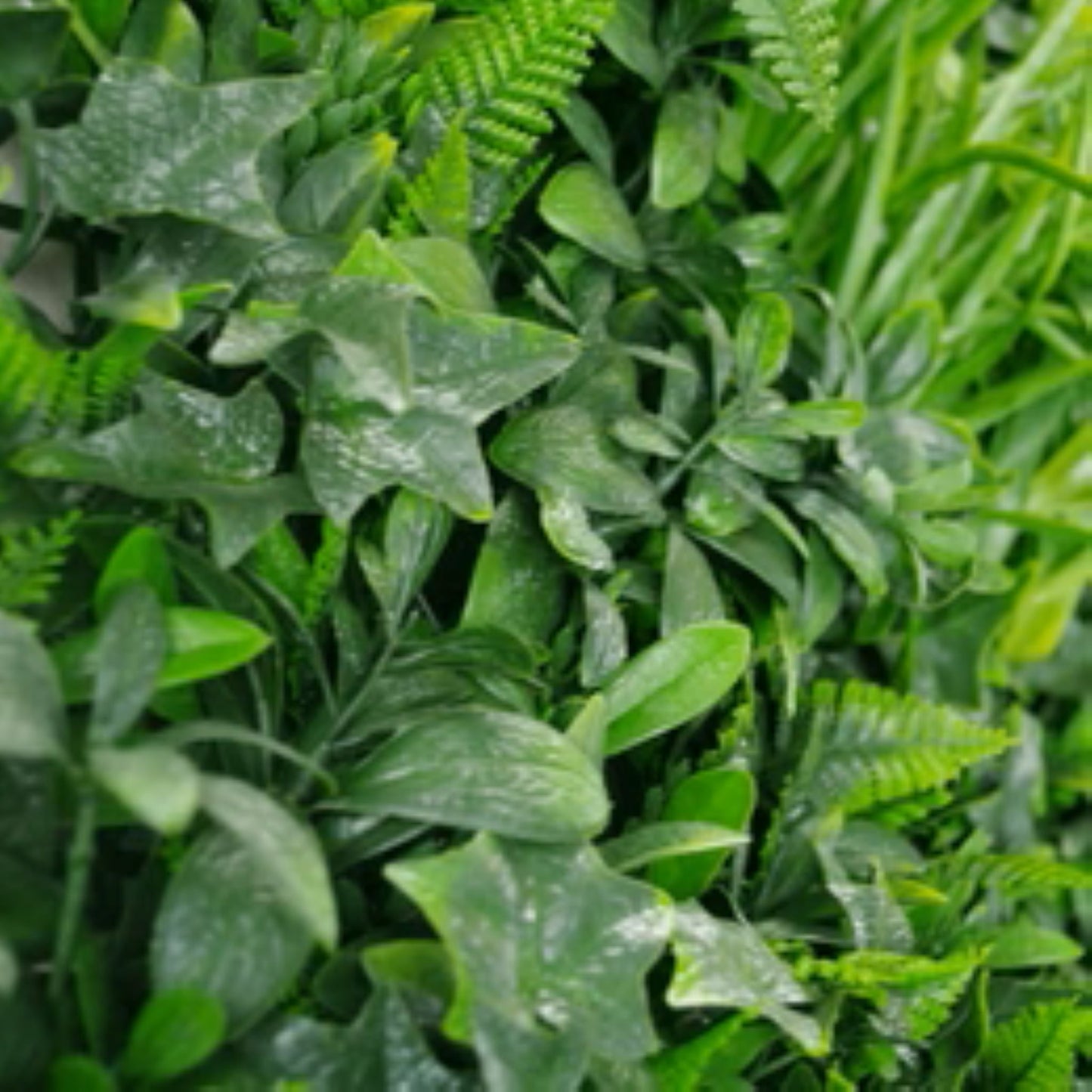 Close-up of tropical foliage on Green Tropics artificial vertical garden