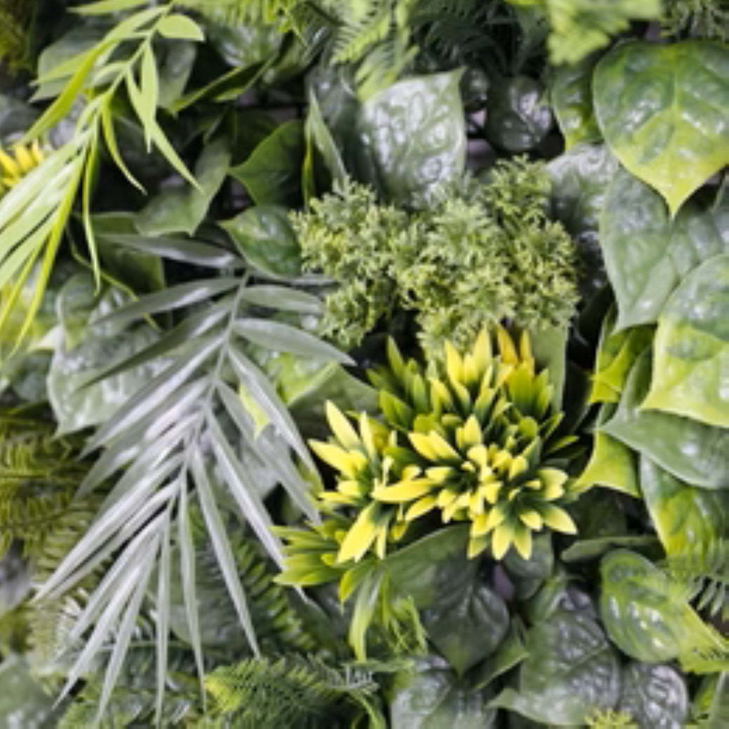 Close-up of tropical flowers and greenery on Hawaiian Sunrise artificial wall