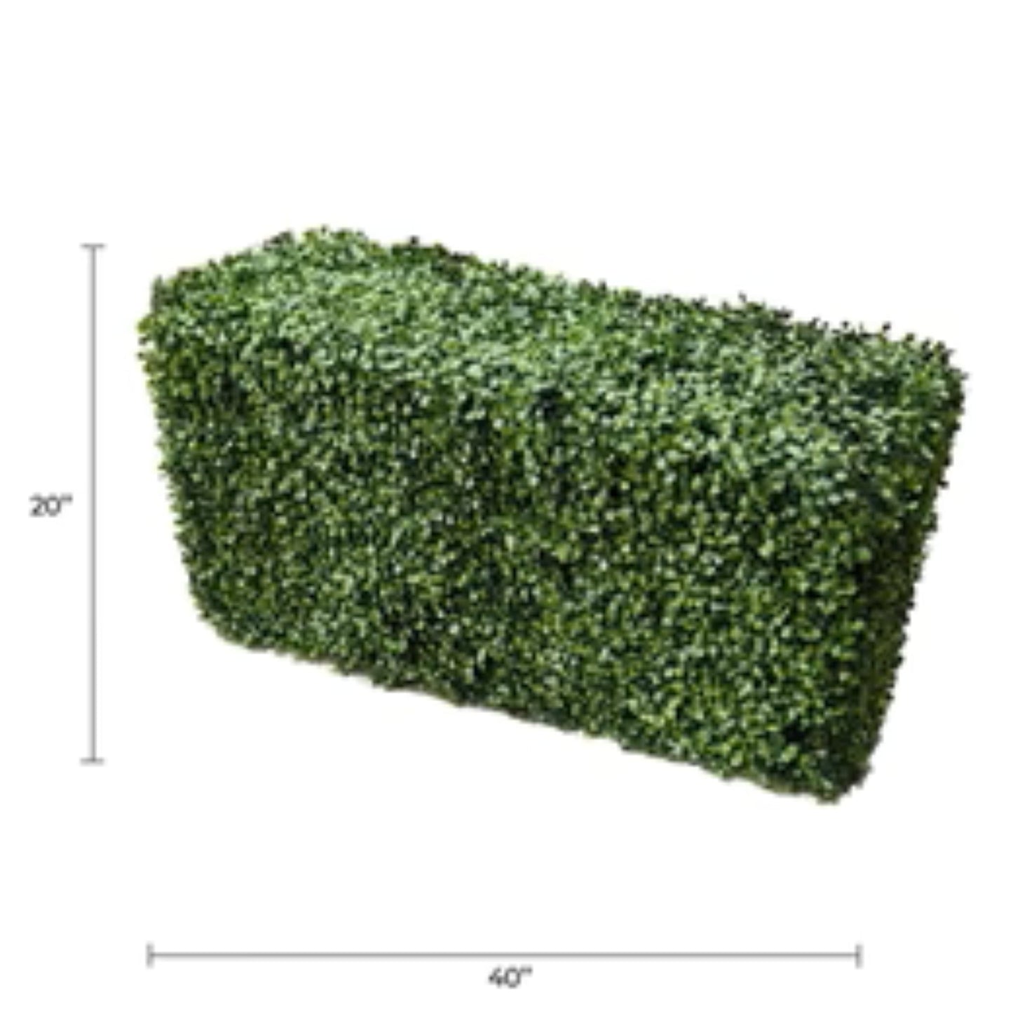 Close-up of realistic two-tone boxwood foliage on artificial hedge with dimensions