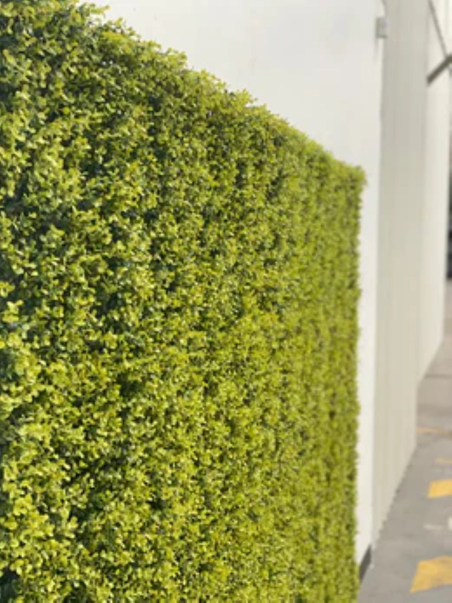 commercial-grade yellow green wall for indoor outdoor décor