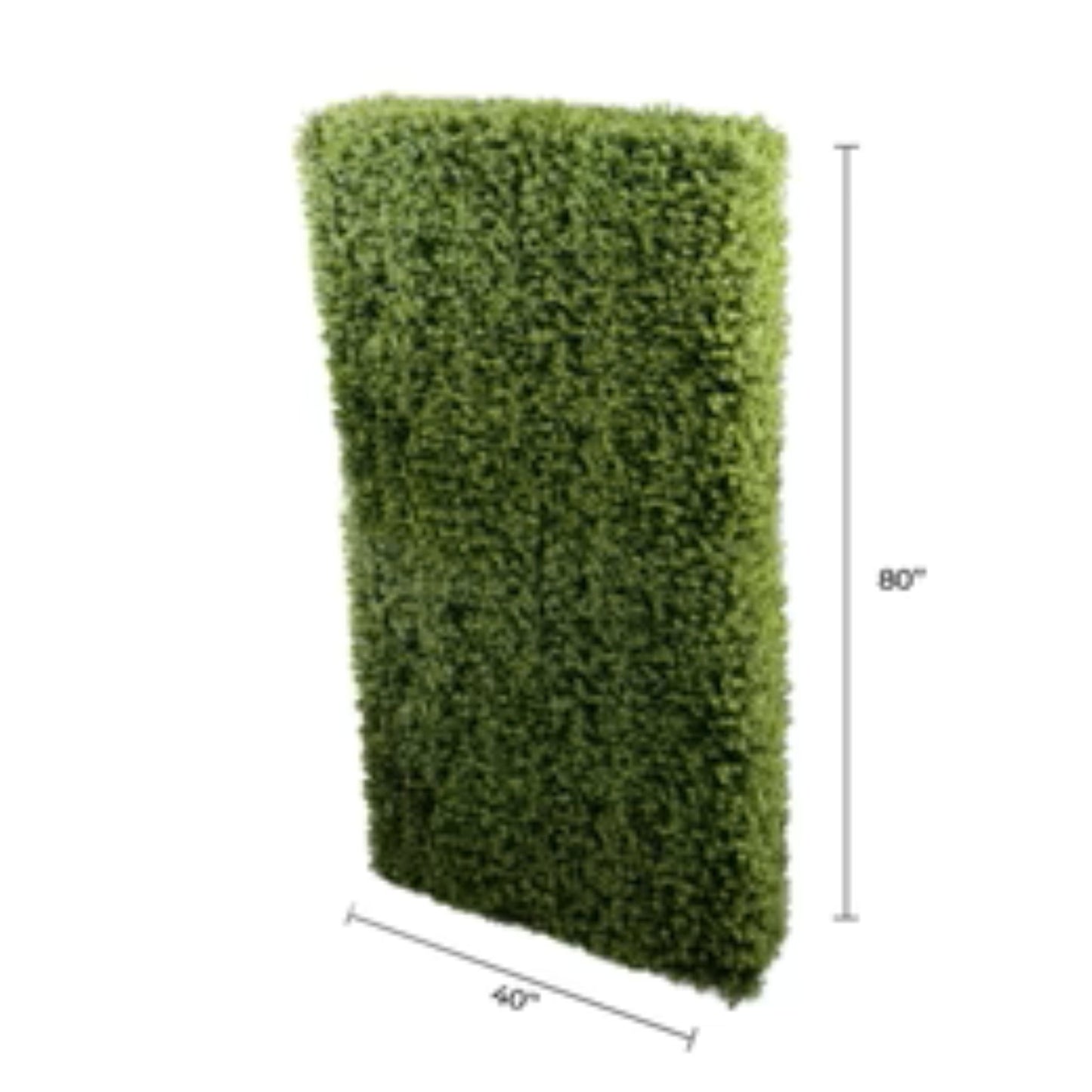 Boxwood hedge divider used in indoor or outdoor hospitality spaces with dimensions