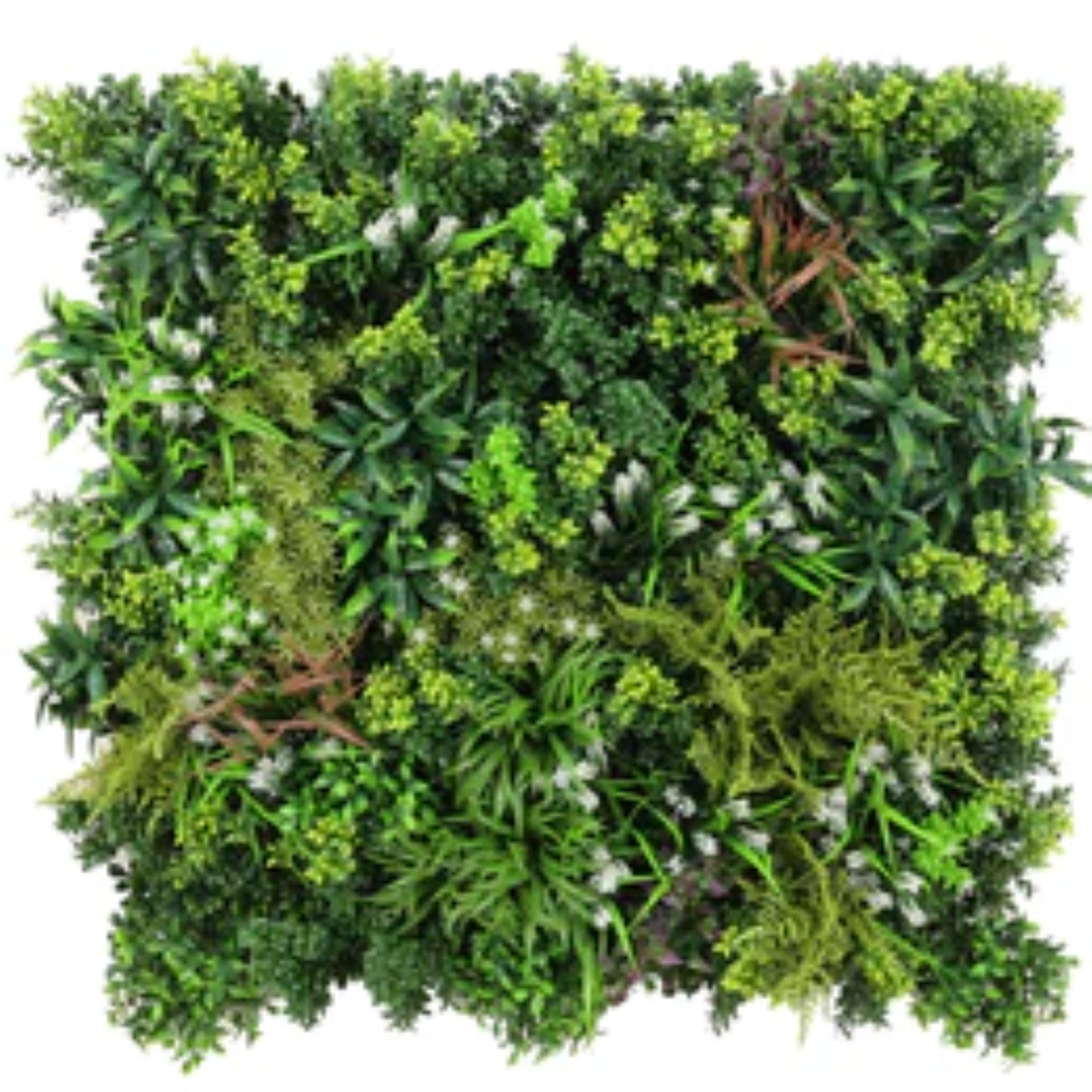Close-up of dense tropical foliage on Amazon Jungle artificial green wall