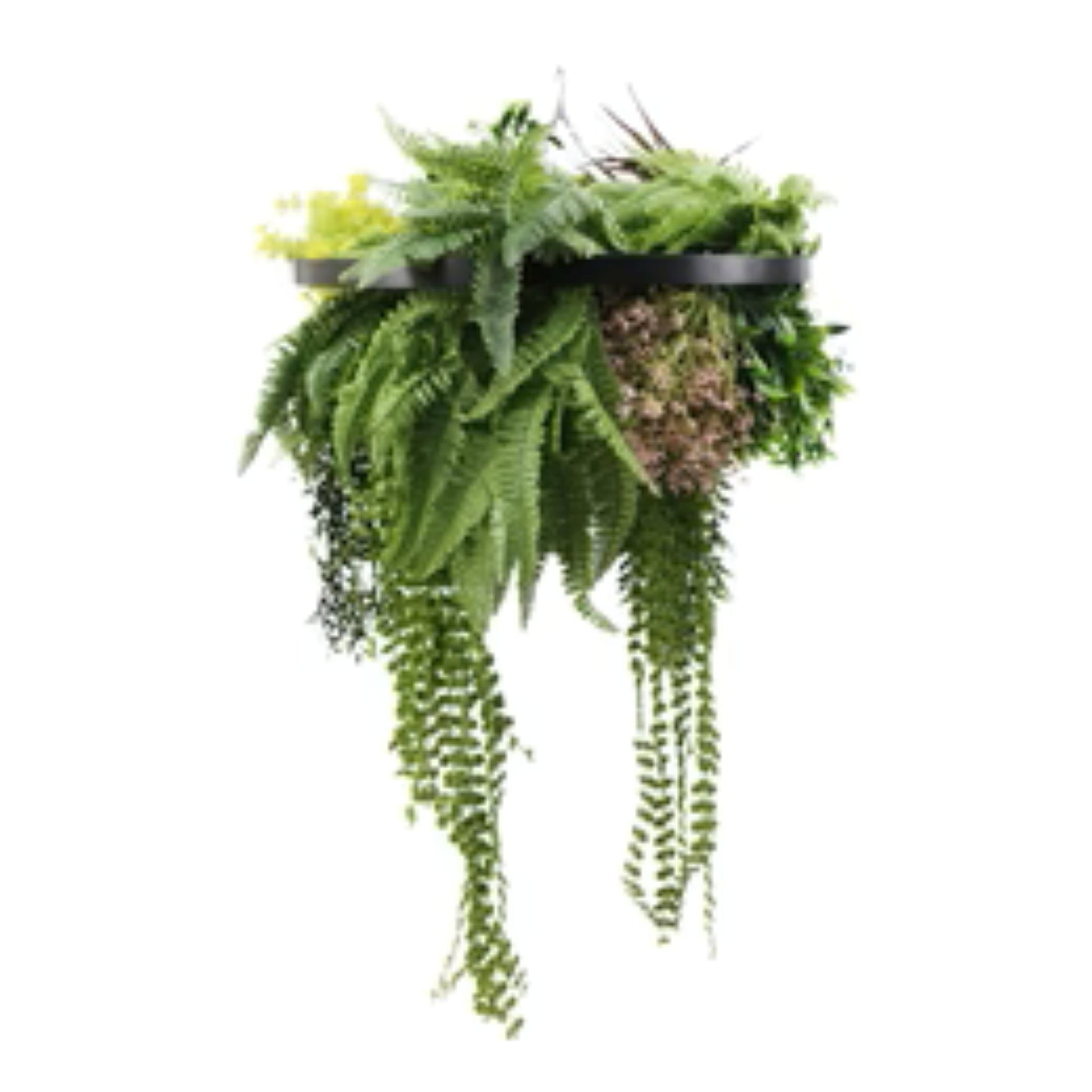 black framed hanging disc with tropical greenery