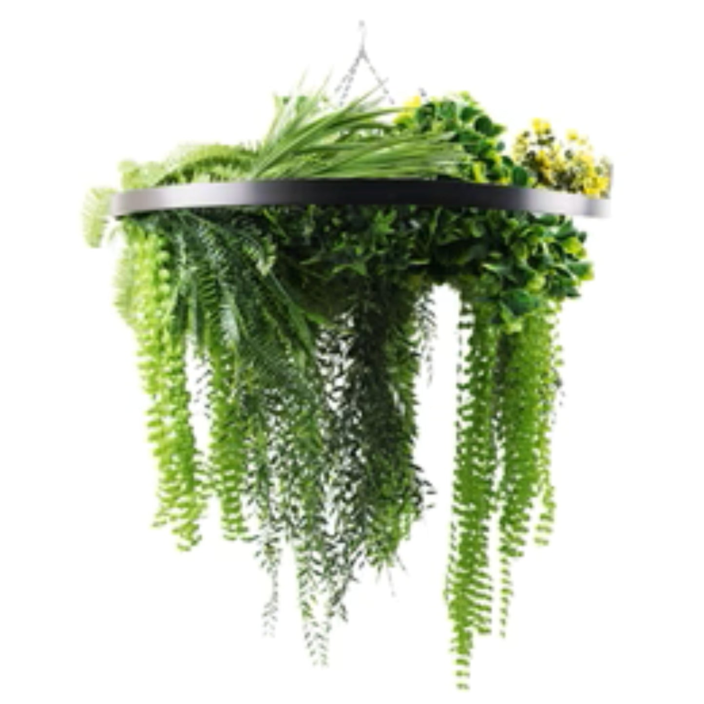black hanging disc with draping ferns and greenery