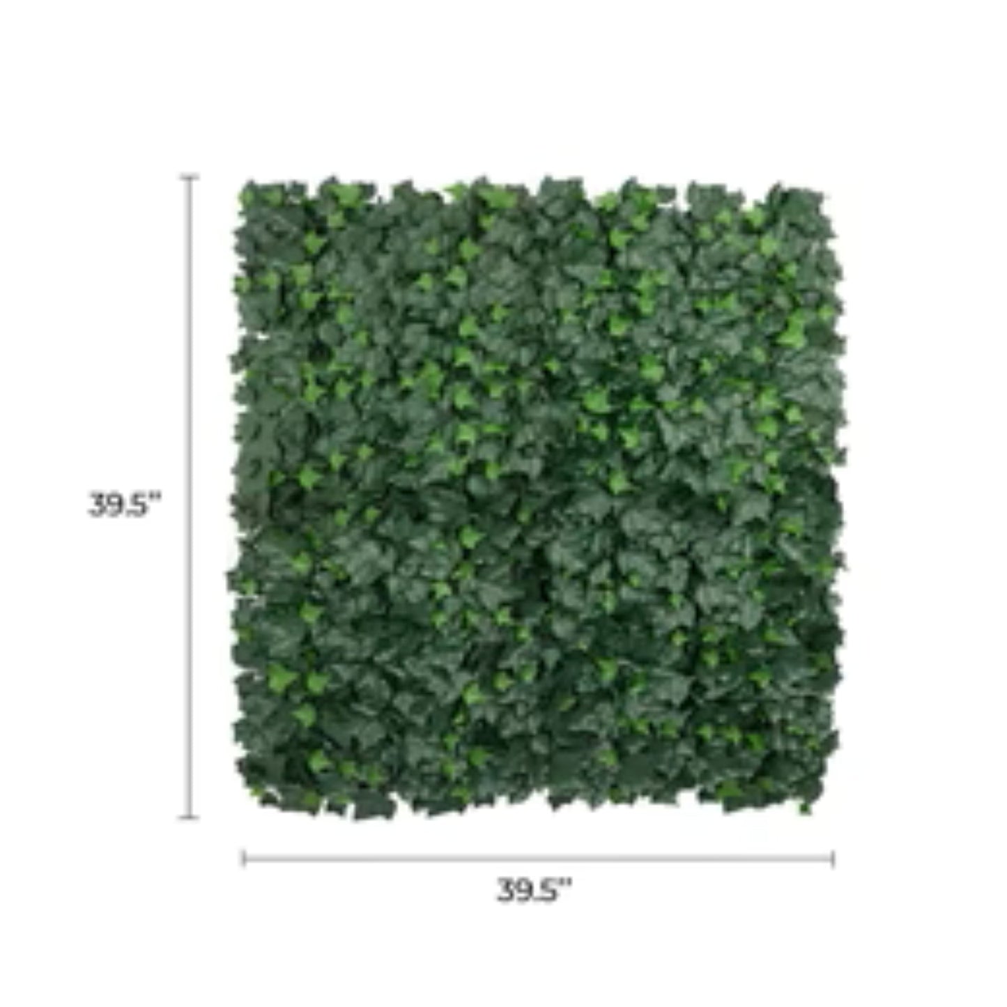 Artificial Boston Ivy Green Wall panel set covering 33 square feet with dimensions