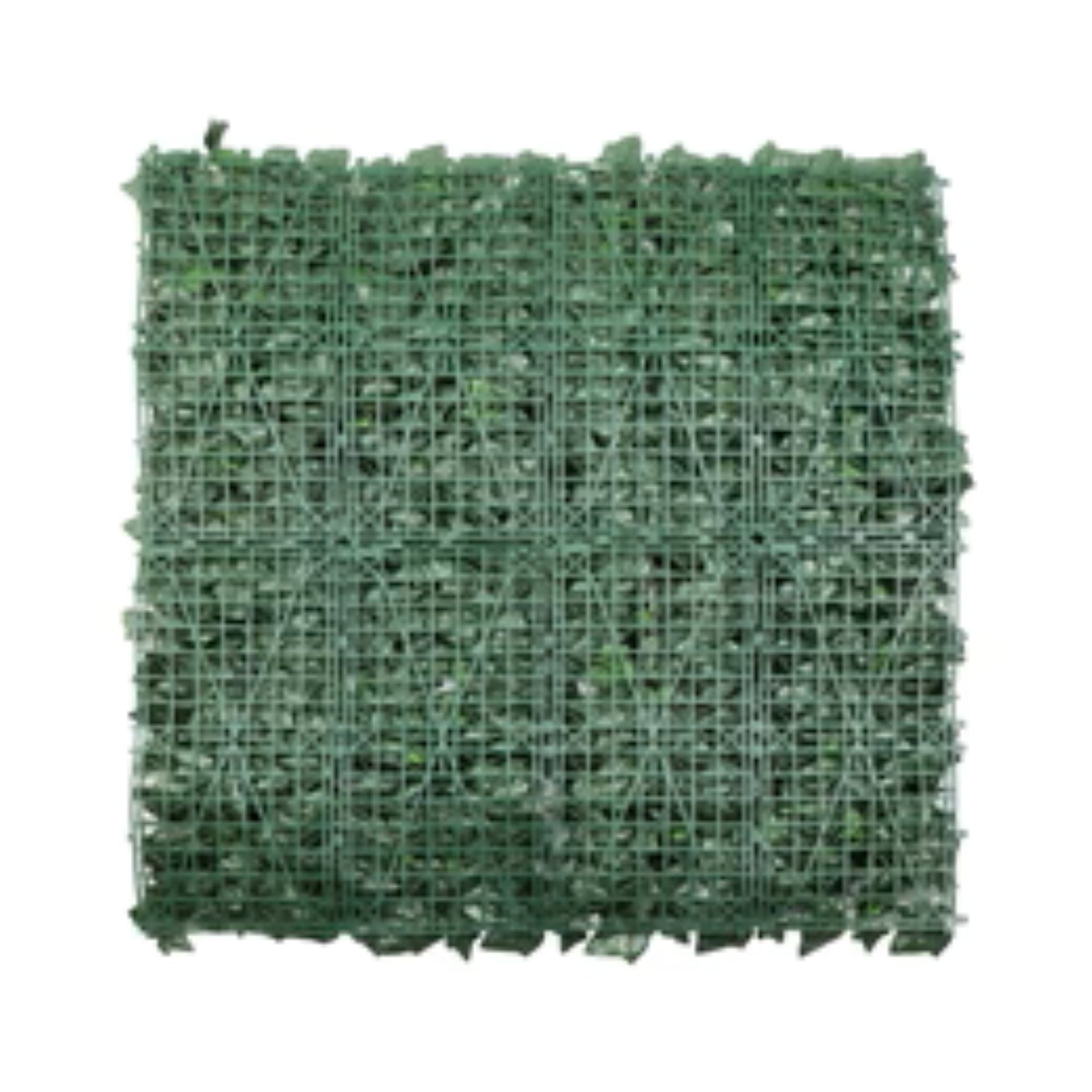 Close-up of dense Boston ivy foliage on artificial green wall back view