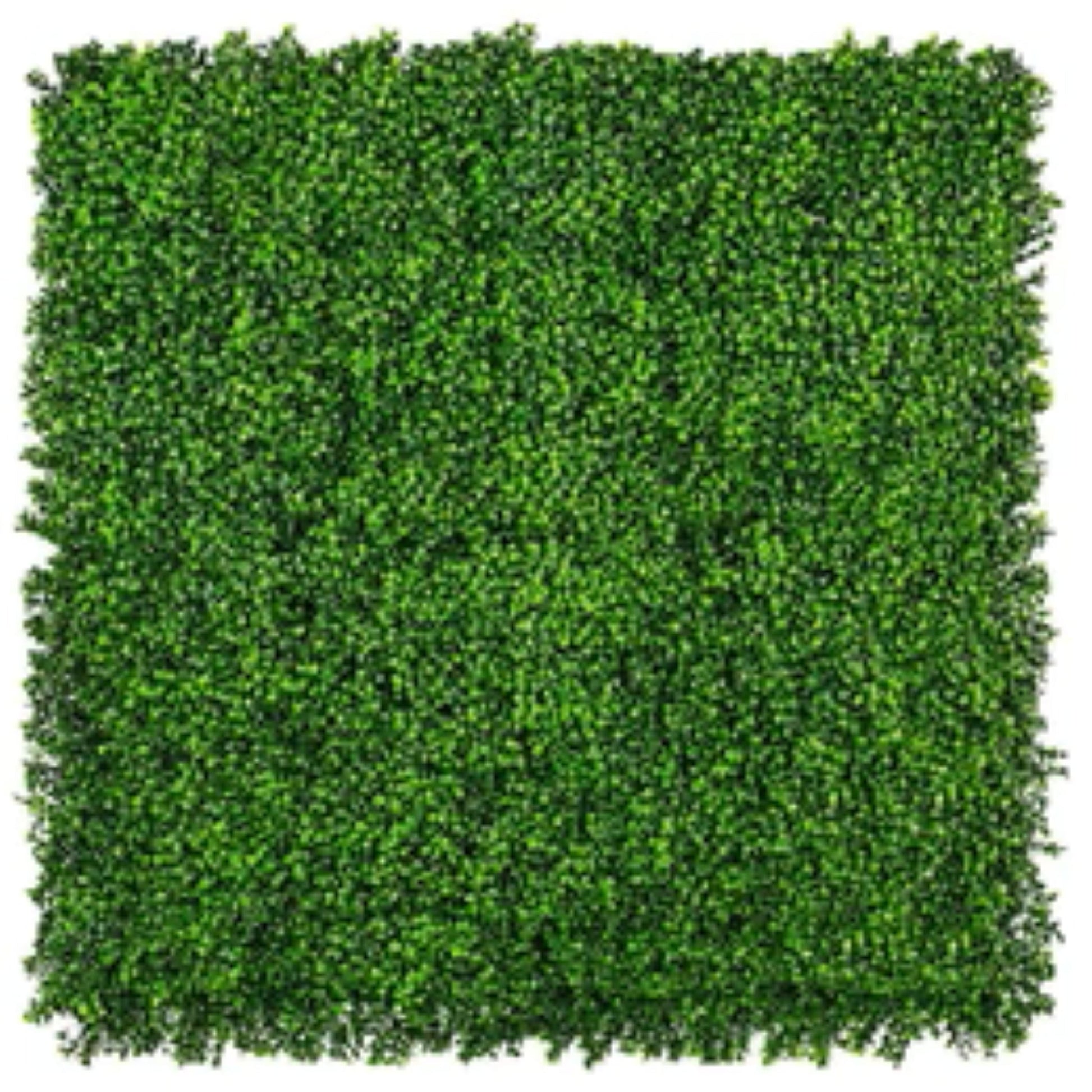 bright artificial boxwood wall panel 40x40