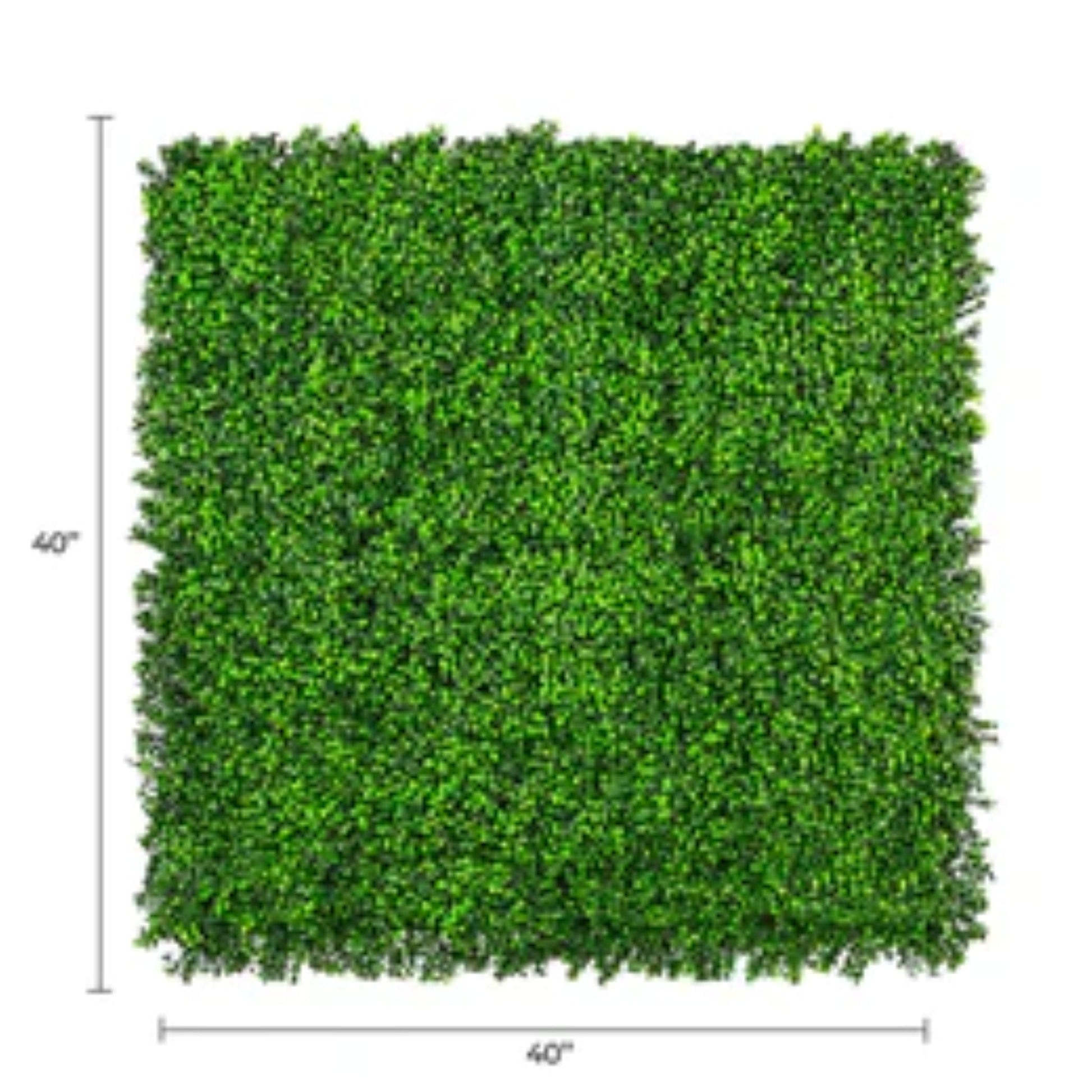 bright artificial boxwood wall panel 40x40 with dimensions