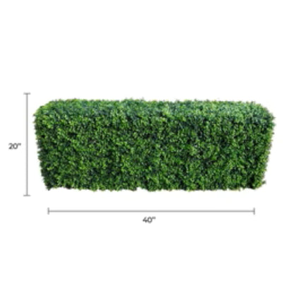 Close-up of bright long-leaf boxwood foliage on artificial hedge with dimensions