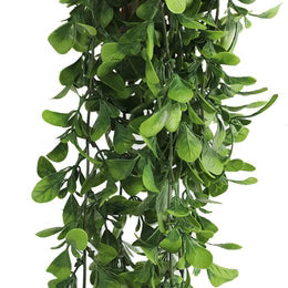 UV-resistant creeping fig foliage for indoor and outdoor décor