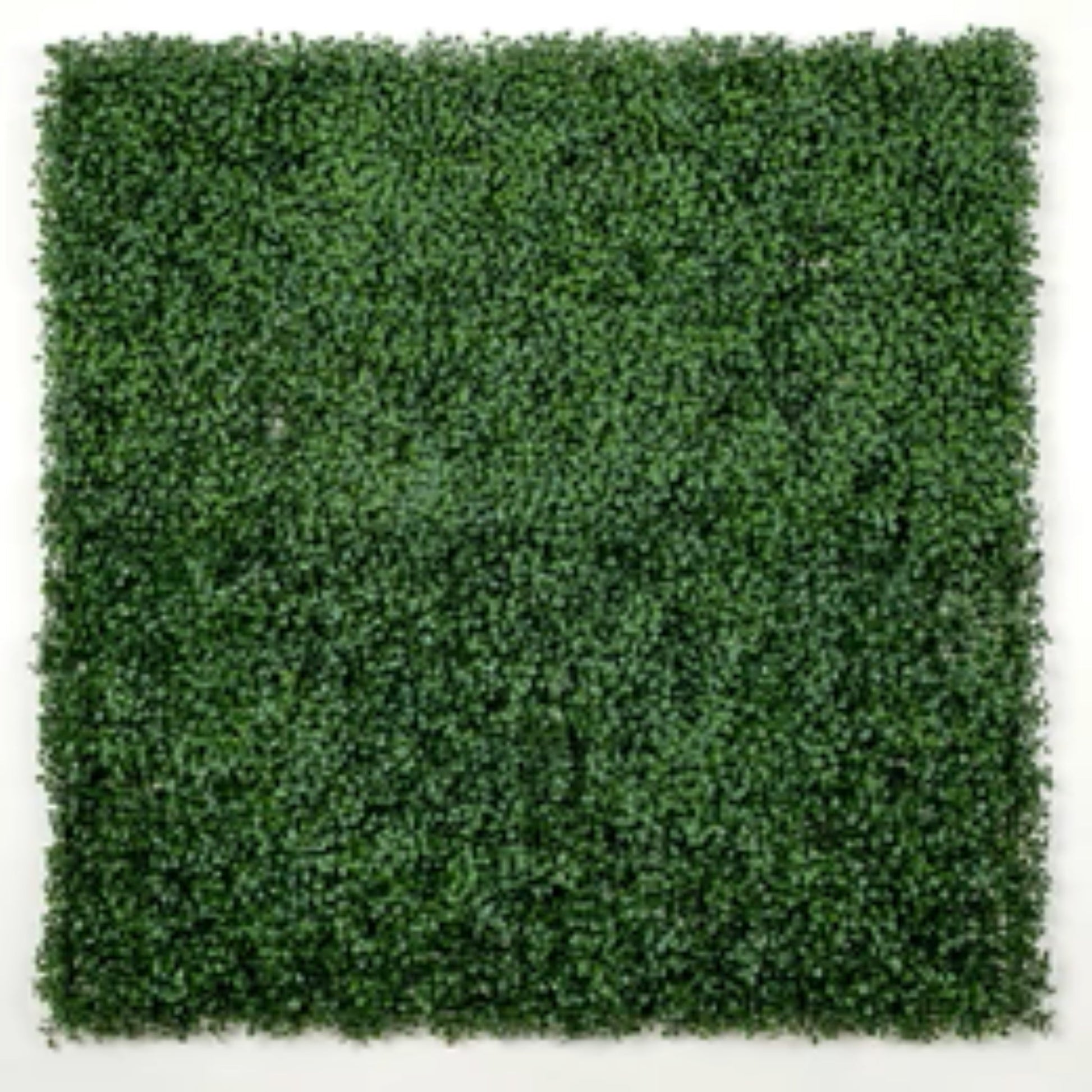 dark artificial boxwood wall panel 40x40