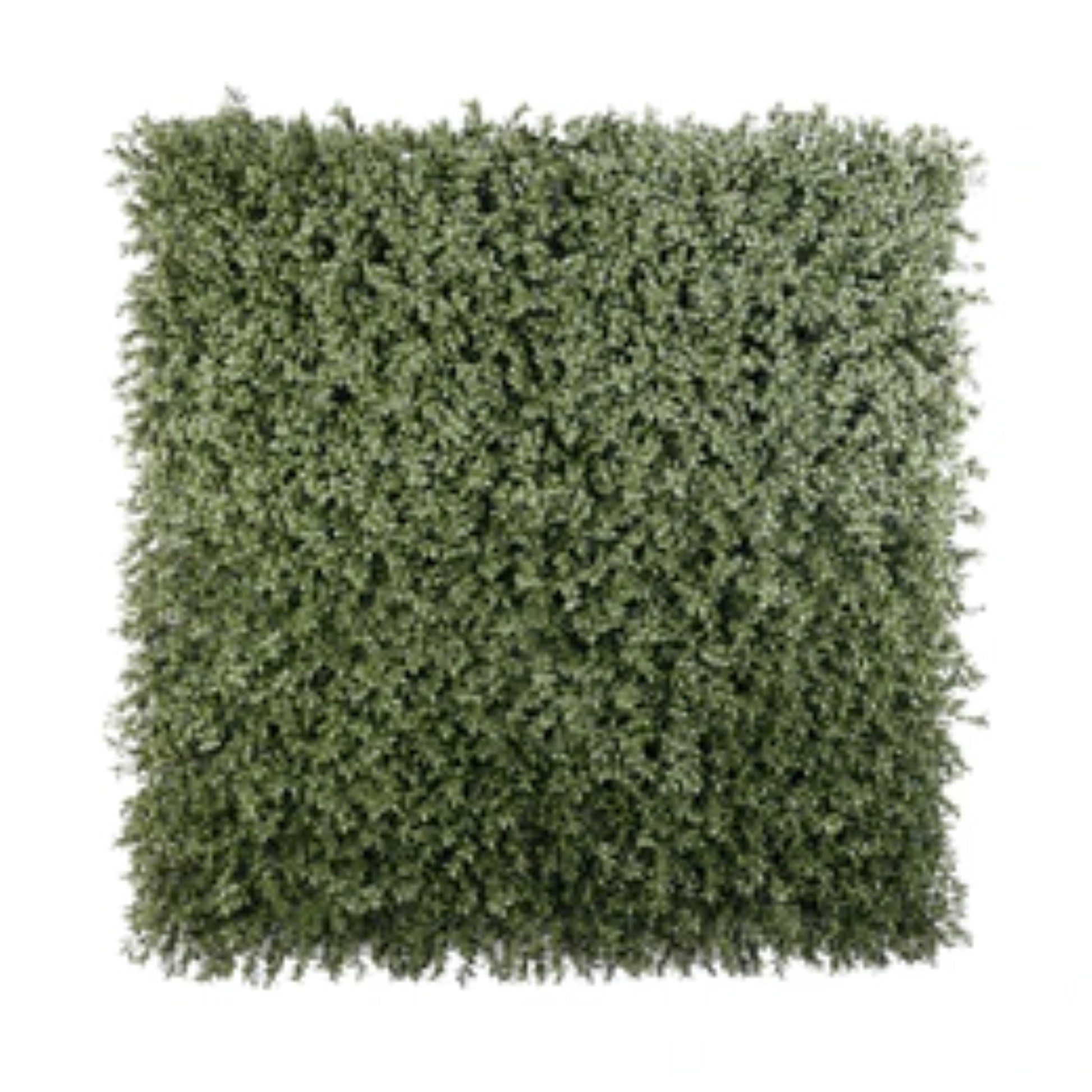 Dark green extra dense boxwood foliage panel measuring 40 by 40 inches