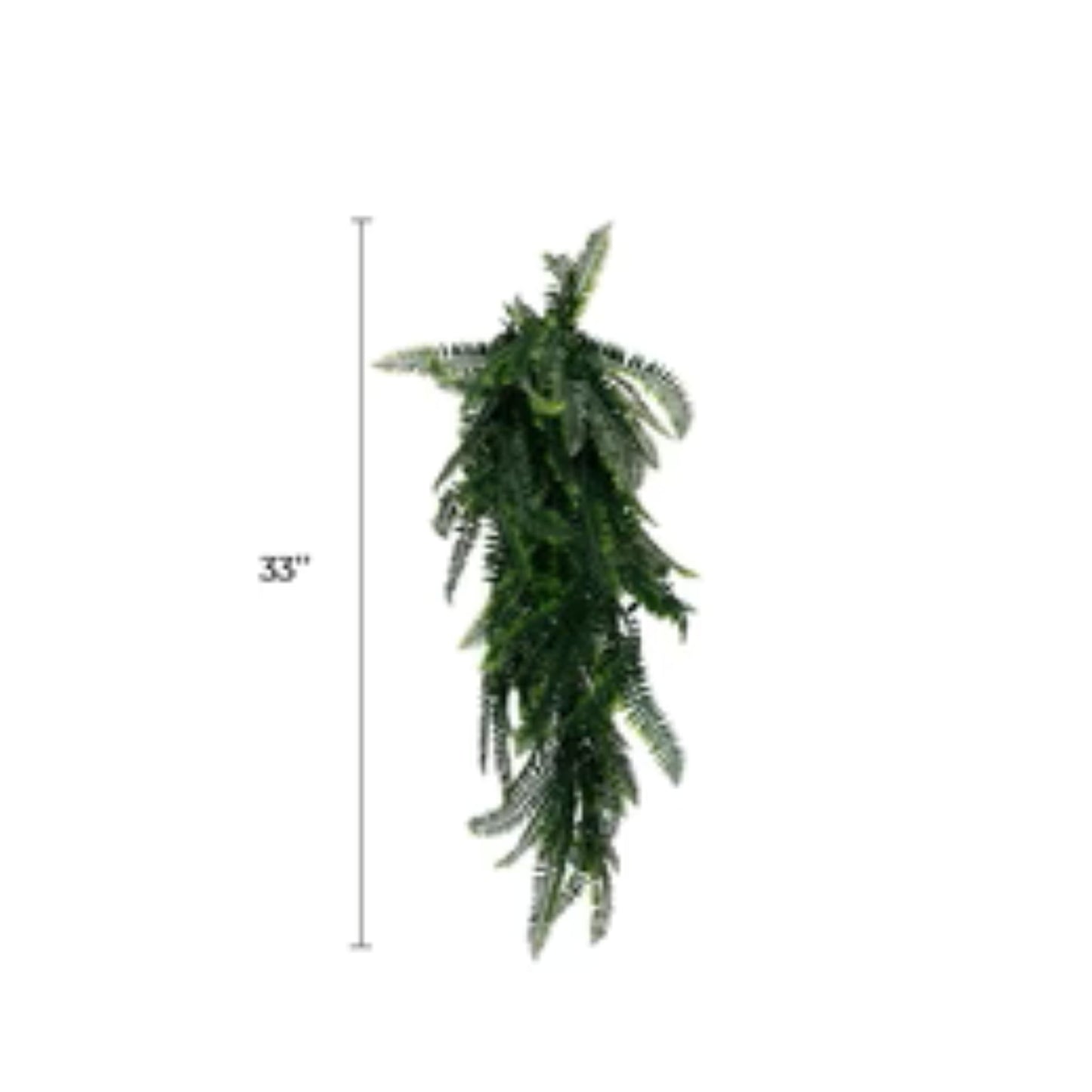 UV-resistant Boston fern foliage for indoor and outdoor décor