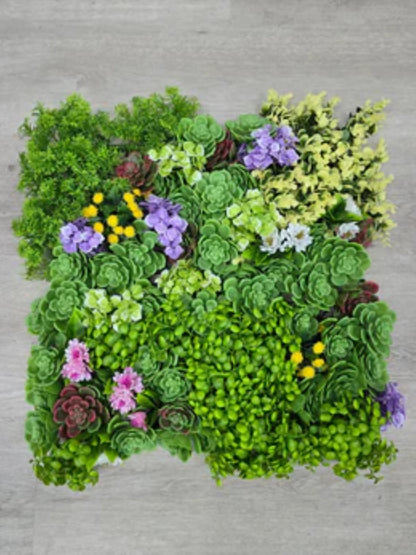 Succulent green wall panel installed in a home or hospitality setting
