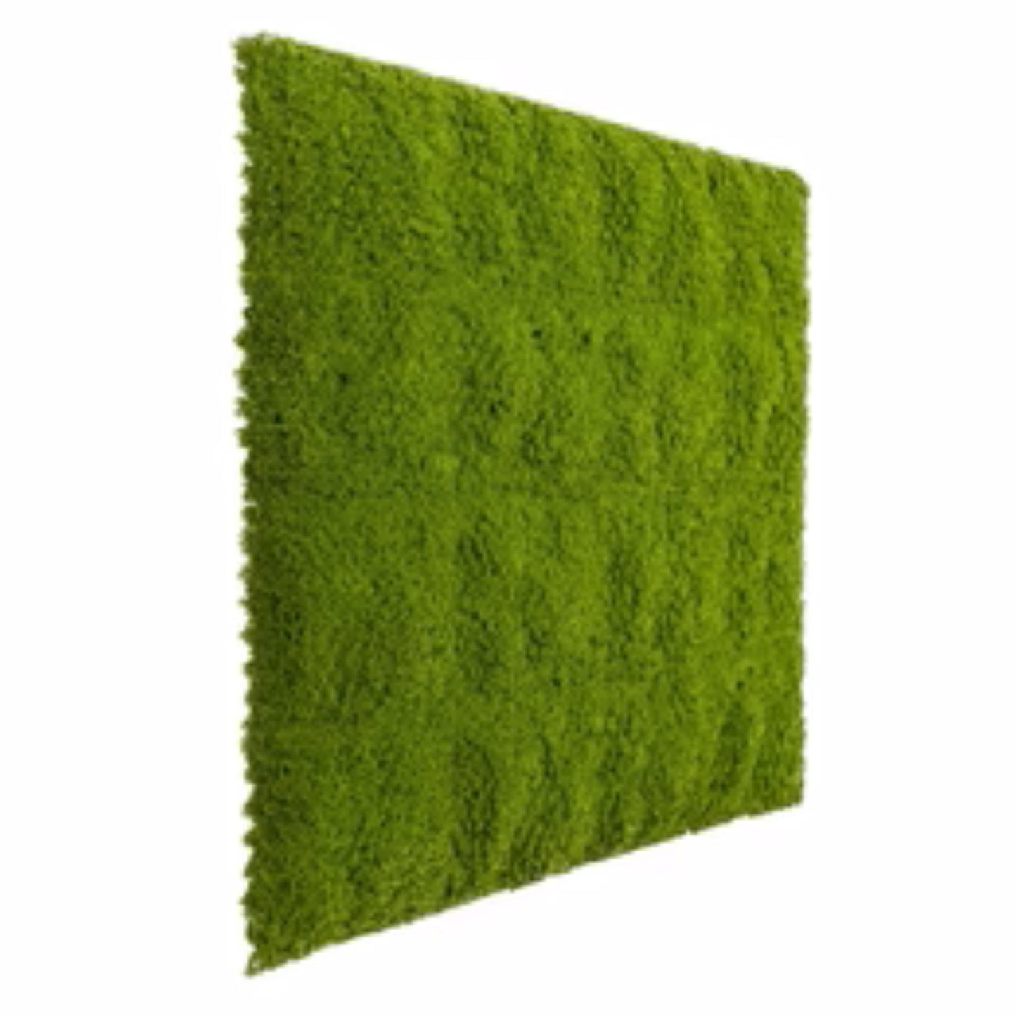 Evergreen moss panel installed on a wall in a hospitality or residential setting