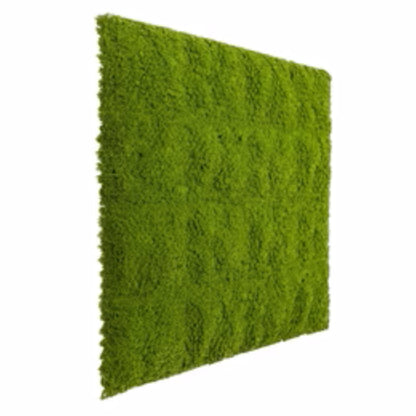 Evergreen moss panel installed on a wall in a hospitality or residential setting