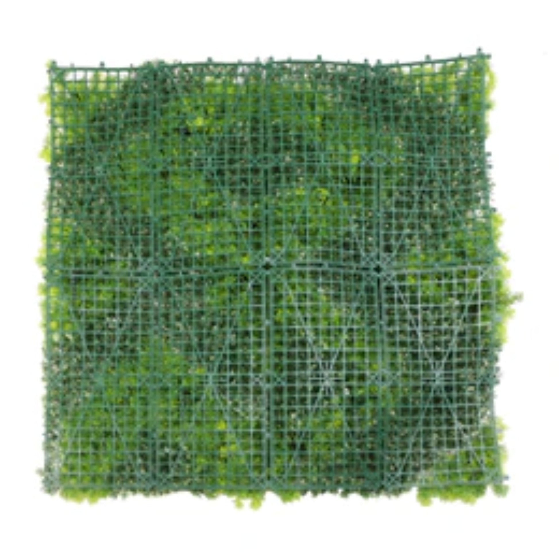 uv-resistant commercial moss and greenery wall panel back view