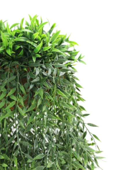 Long draping fern foliage in a decorative hanging basket