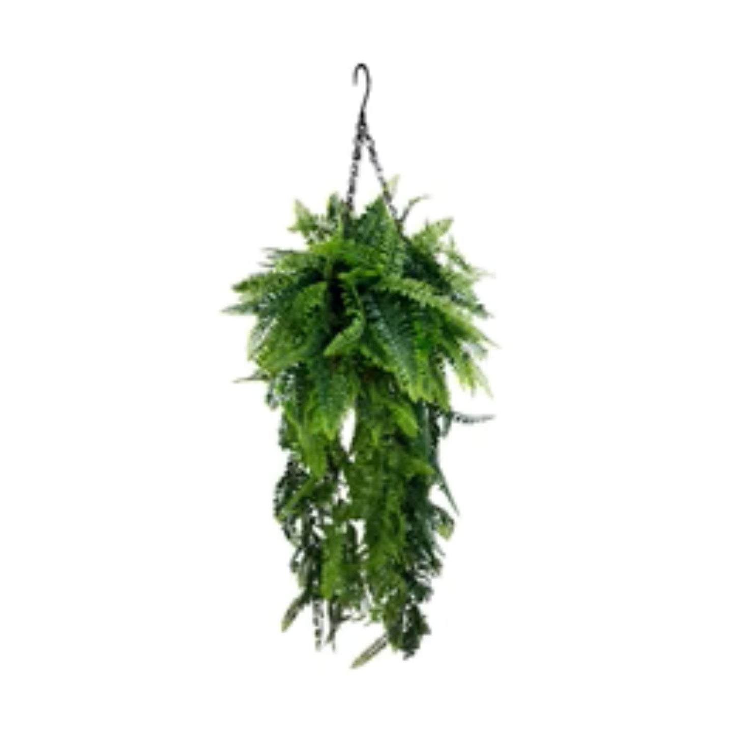 UV-resistant artificial fern décor for patios and entryways
