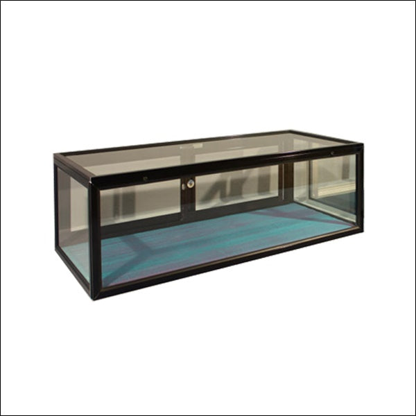 Portable Display Case 34" x 16" x 11" - 1