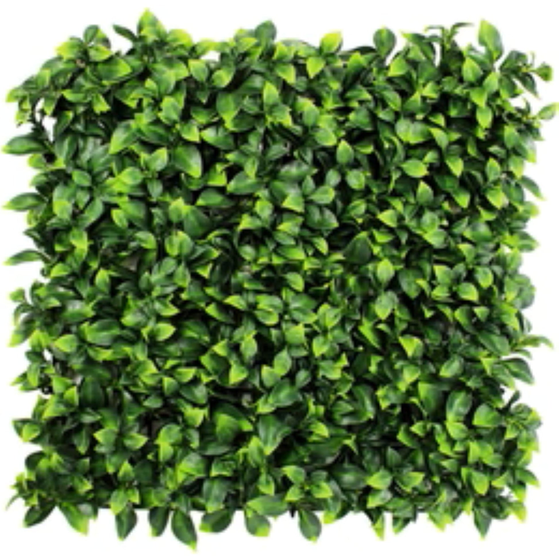 Artificial Jasmine Green Wall panel measuring 40 by 40 inches