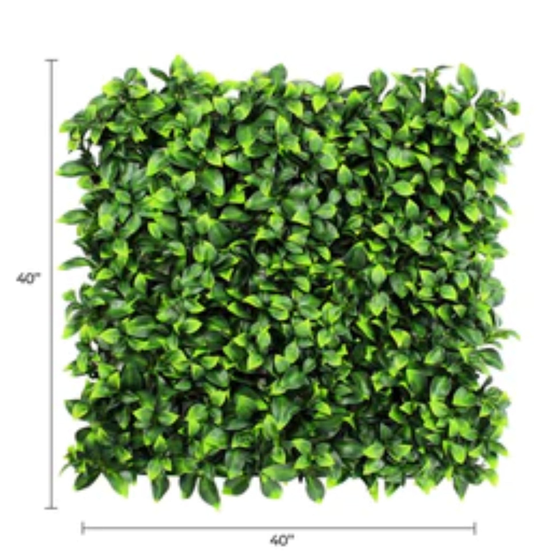 UV-resistant commercial jasmine vertical garden panel with dimensions