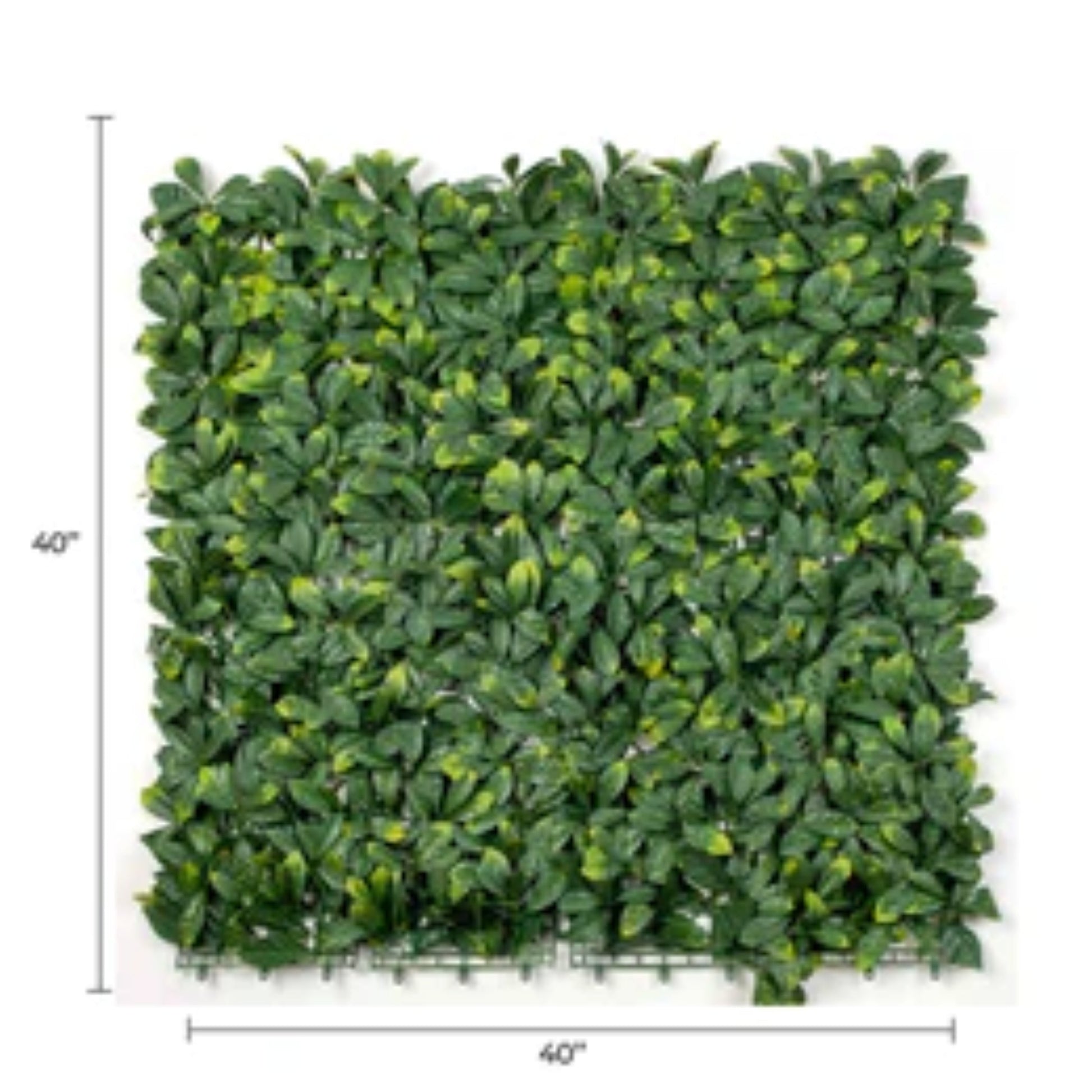 Close-up of realistic laurel foliage on an artificial living wall