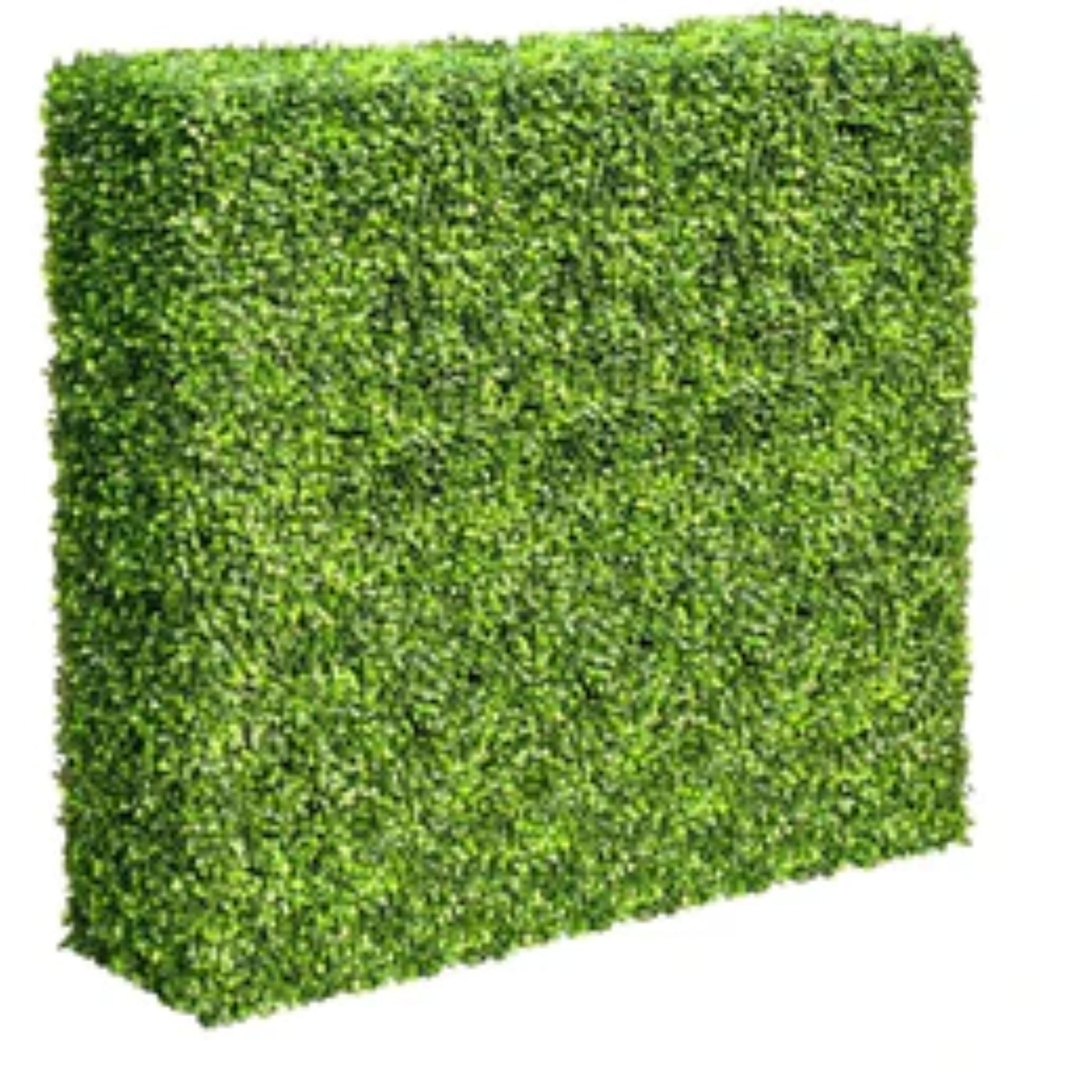 Premium light green artificial boxwood hedge measuring 30 by 30 inches