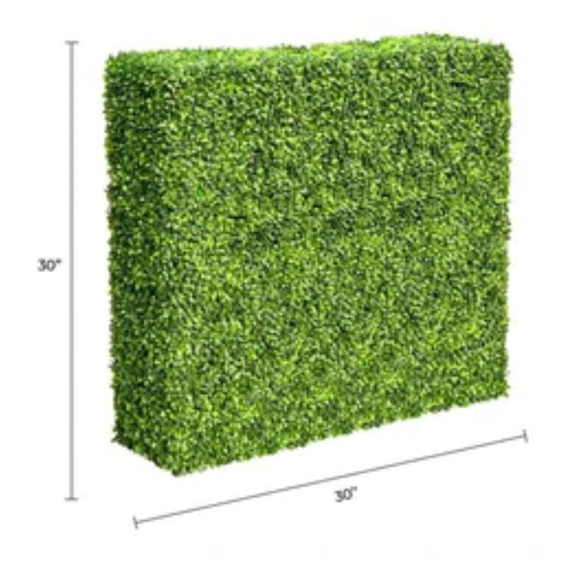 freestanding artificial boxwood hedge used as a divider or privacy screen with dimensions