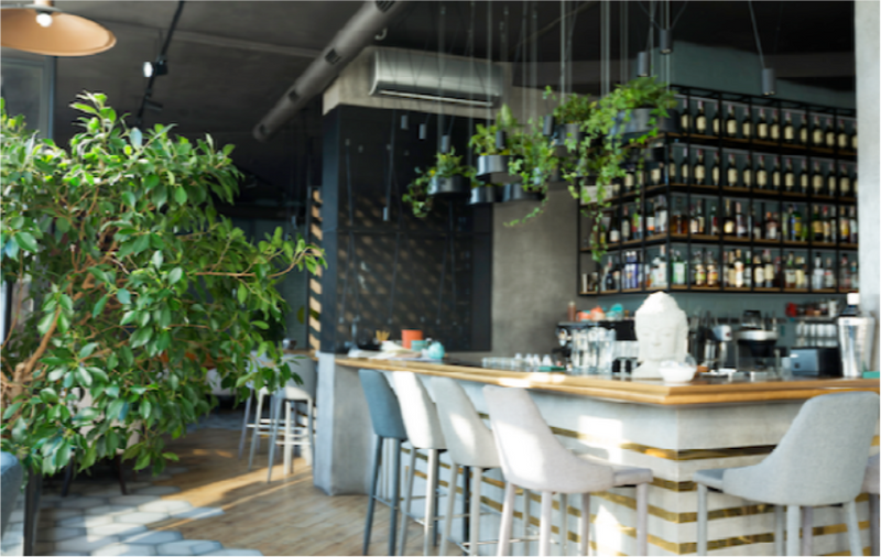 Living Wall gallery10