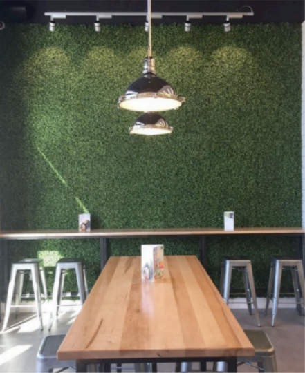 Living Wall gallery11
