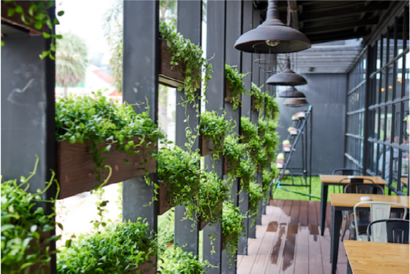 Living Wall gallery8