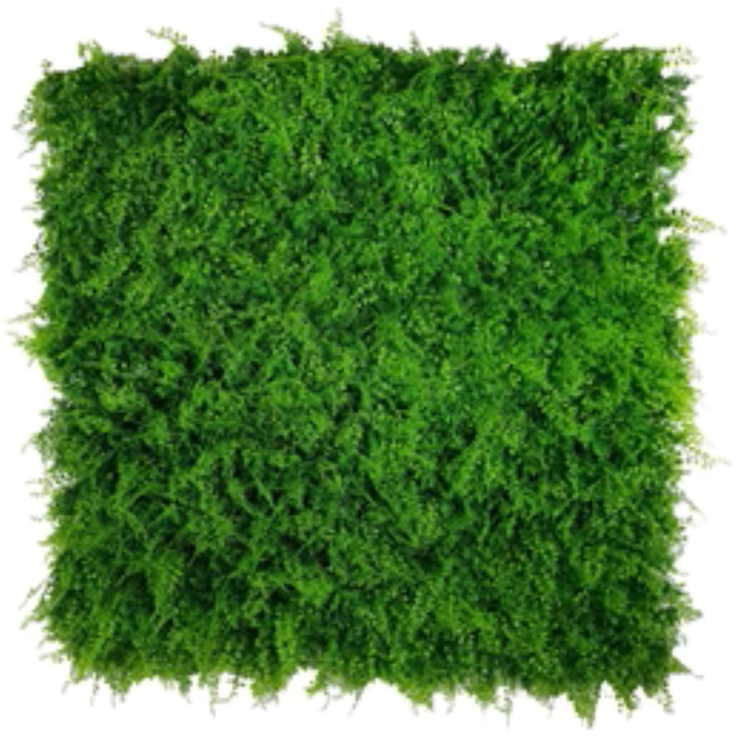 Lush Fern artificial green wall panel measuring 40 by 40 inches