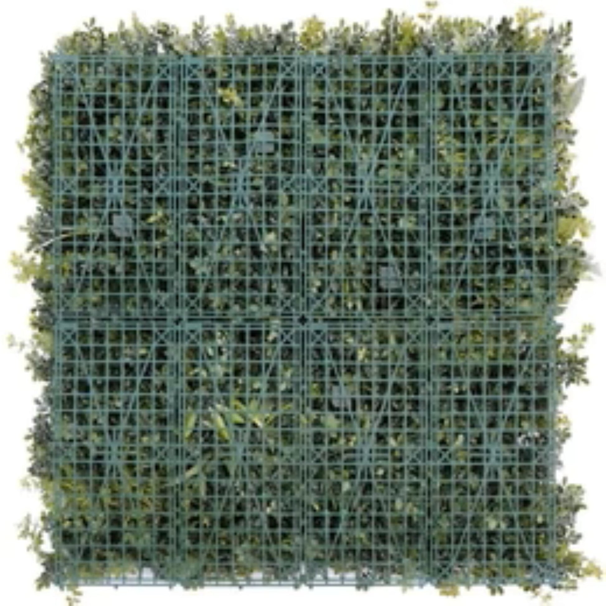 Close-up of dense fern foliage on artificial green wall panel back view