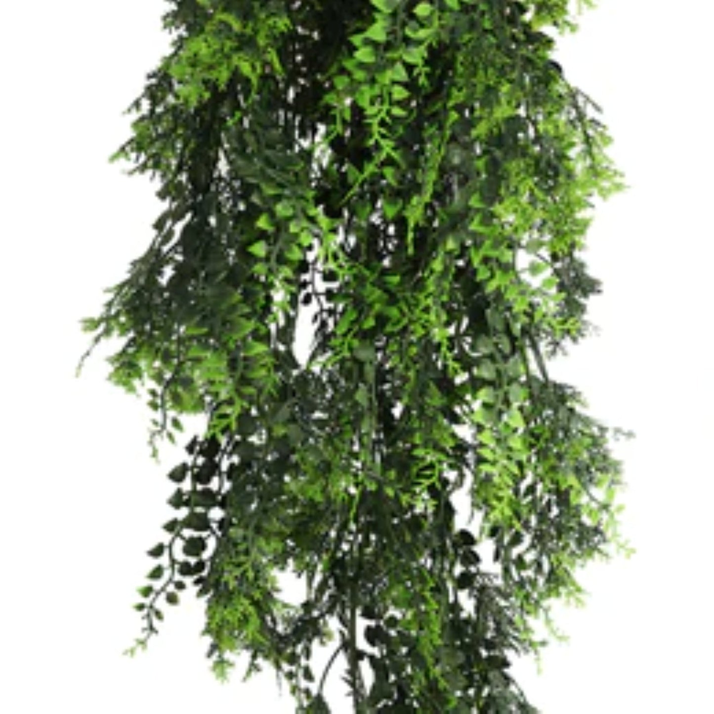 Realistic Mediterranean fern leaves for commercial décor