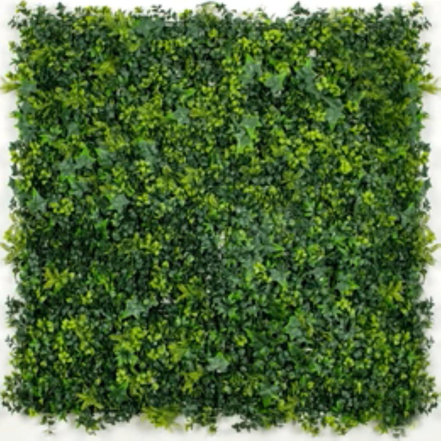Premium Mixed Ivy Spring Sensation artificial green wall panel measuring 40 by 40 inches