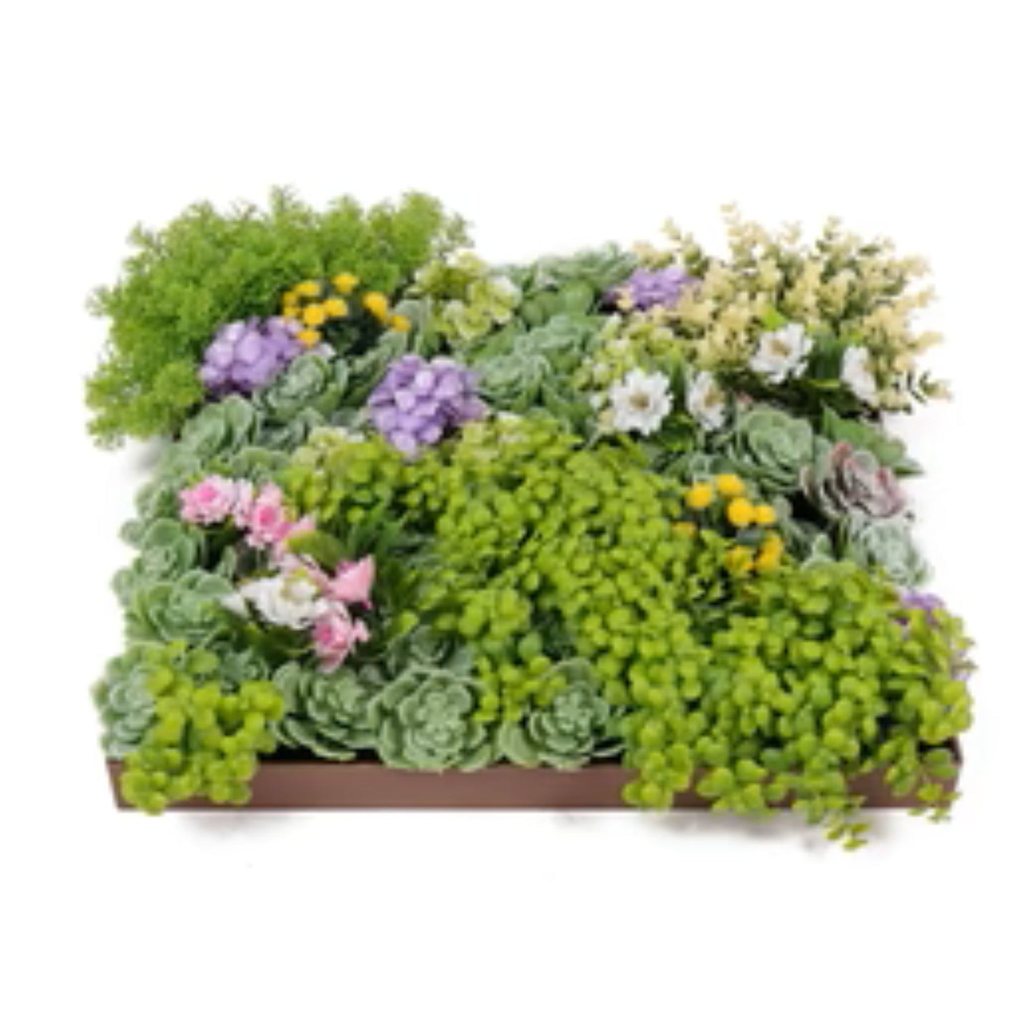 Close-up of succulents and moss on hanging artificial green wall panel side view