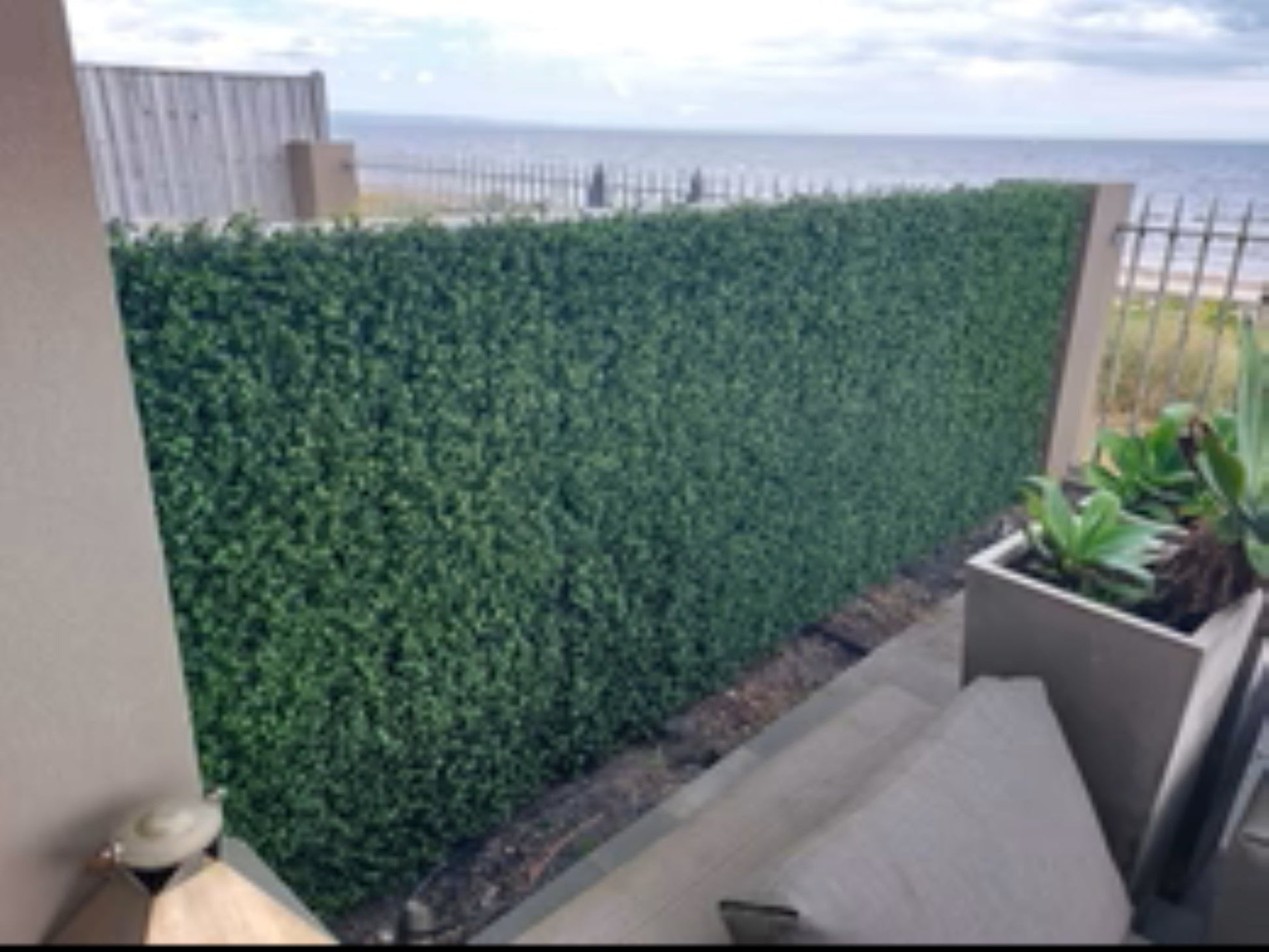 UV-resistant boxwood greenery wall 11 sq ft