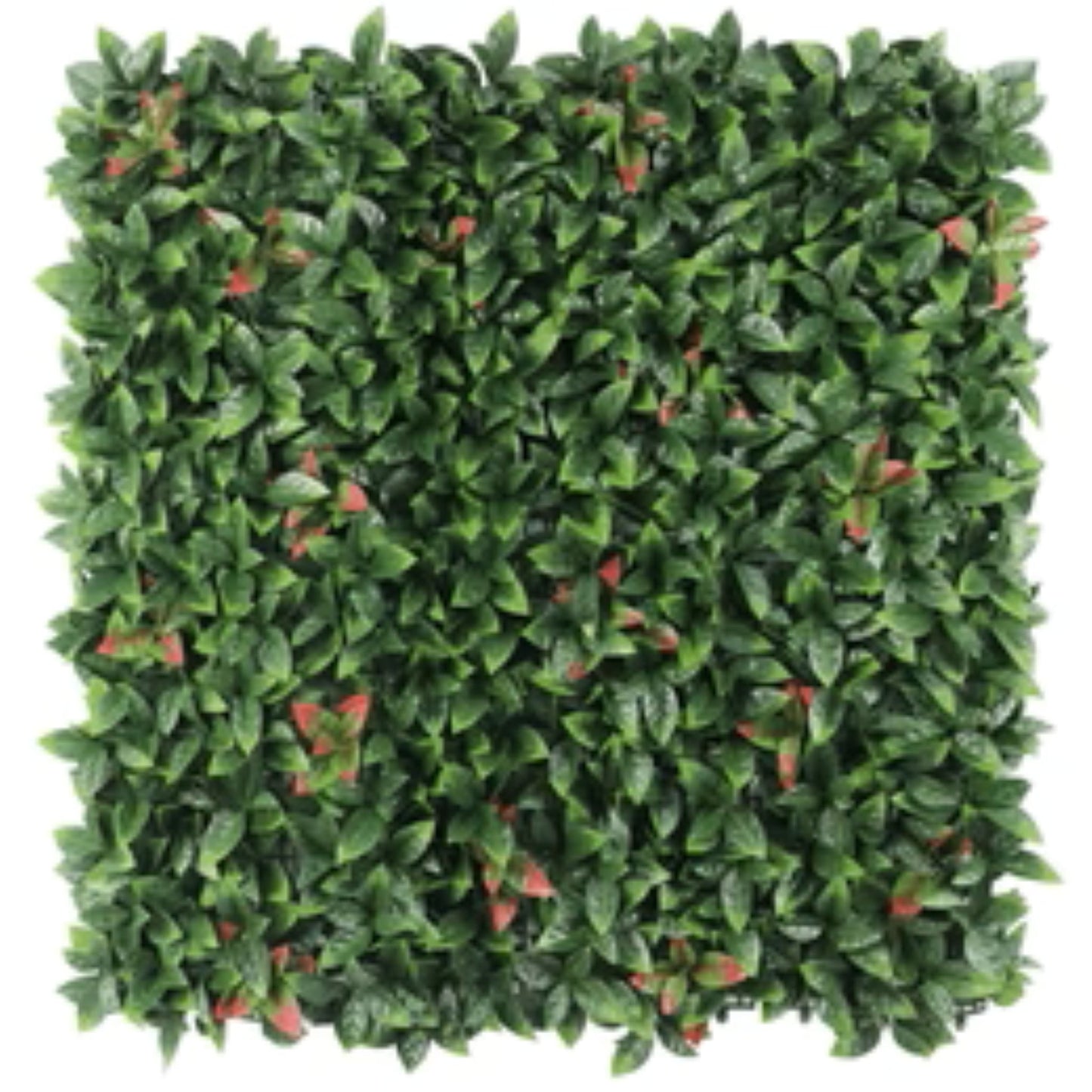 Artificial Photinia Hedge Panel Wall measuring 40 by 40 inches
