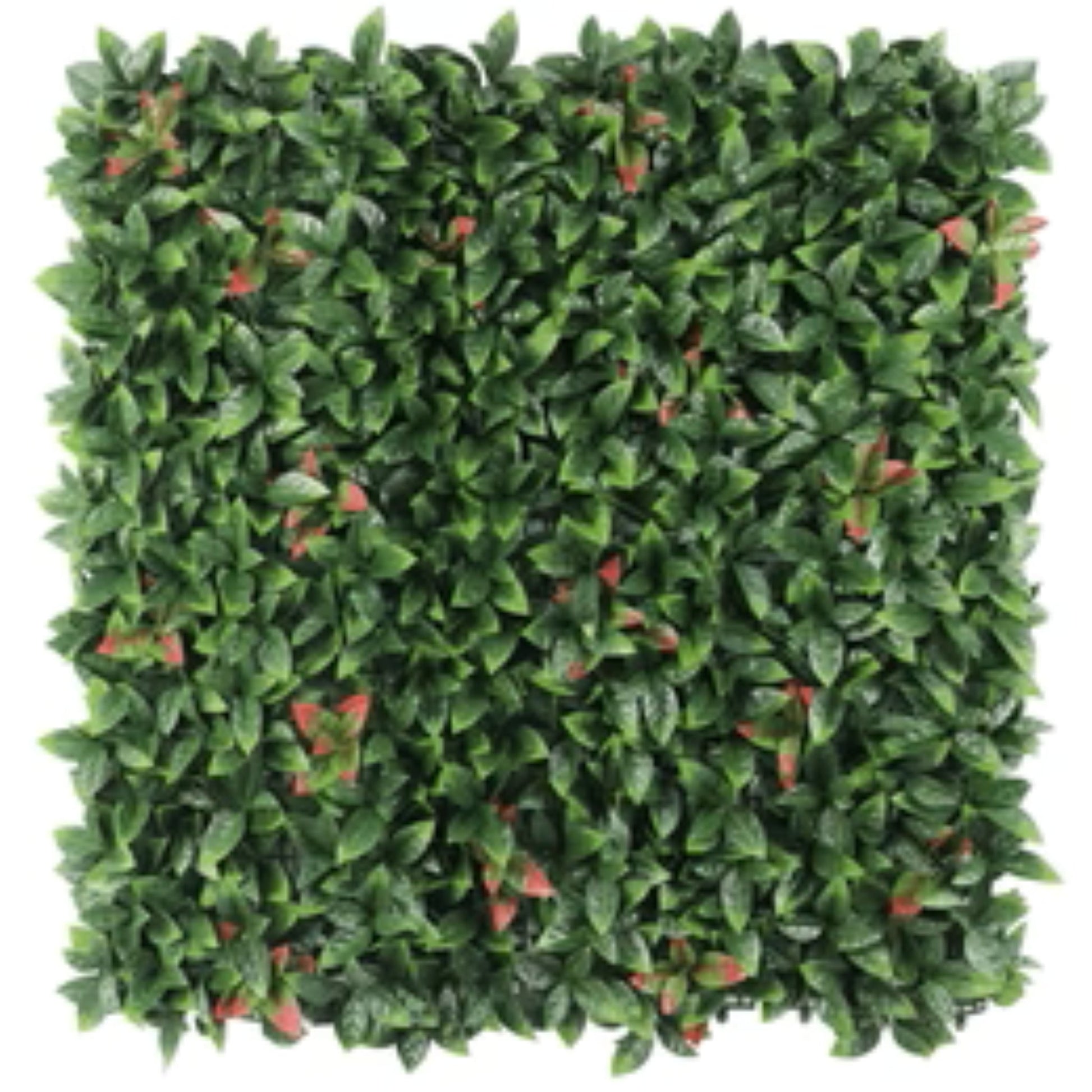 Artificial Photinia Hedge Panel Wall measuring 40 by 40 inches