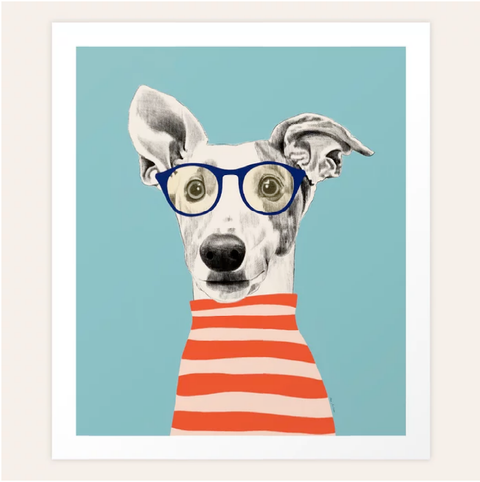 Portrait of a greyhound dog II Art Print