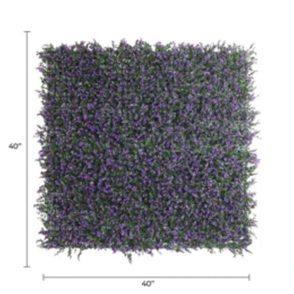 • Close-up of dense purple lavender leaves on artificial green wall with dimensions