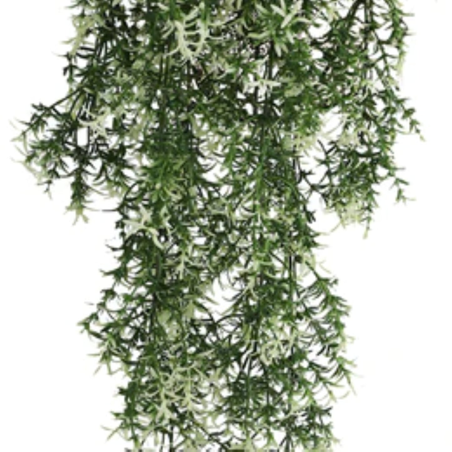 UV-resistant jasmine vine set for indoor and outdoor displays