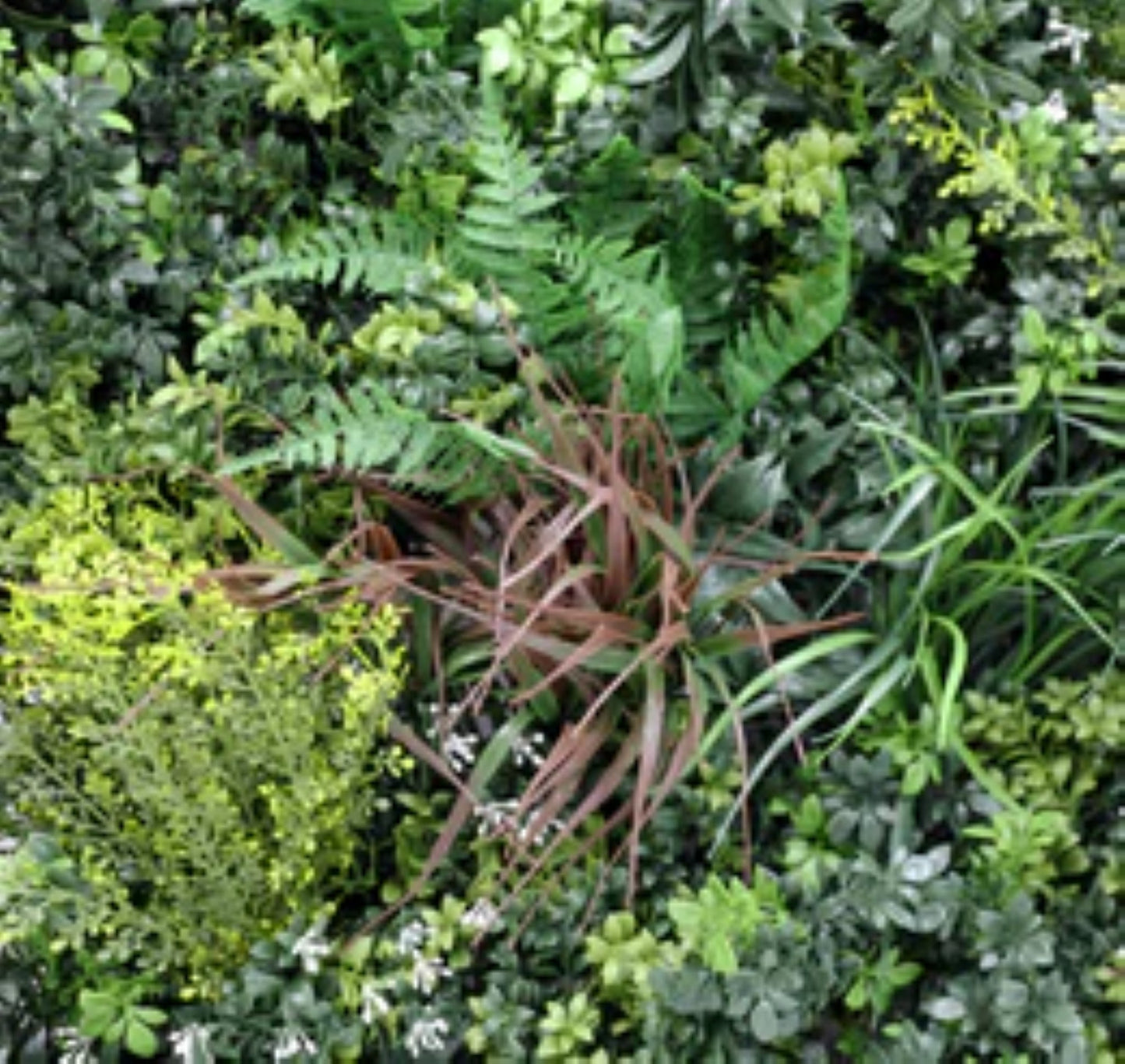 Close-up of dense artificial foliage on Evergreen green wall