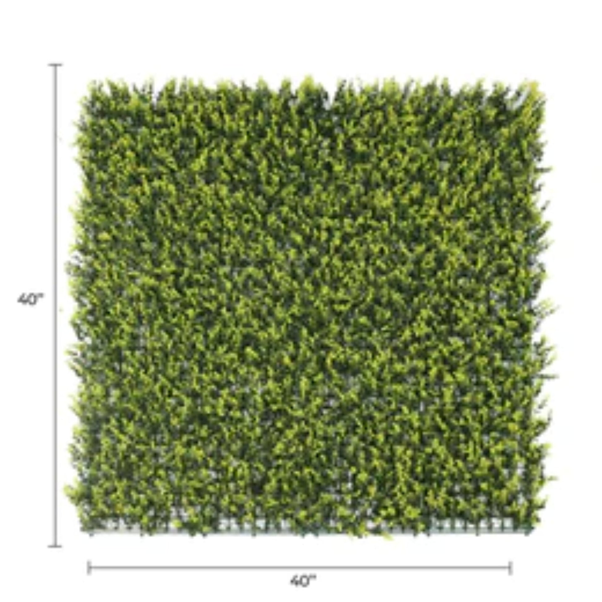 yellow artificial boxwood hedge panel 40x40 with dimensions