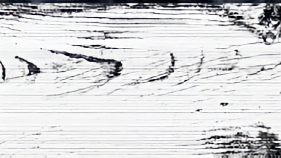 bar panels sixteen