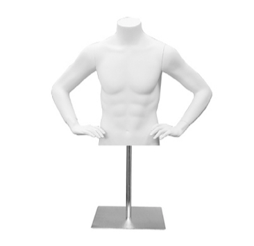 Male Fiberglass Half Torso Form White Finish. - 1