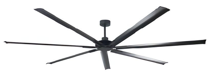 large ceiling fans two